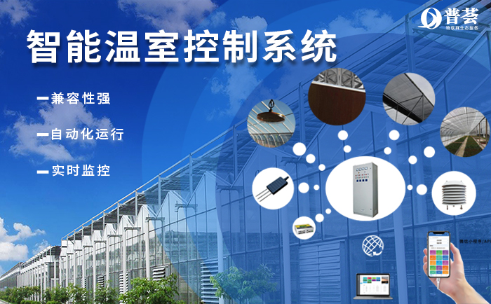 ?  武漢新普惠“加持”的現(xiàn)代農業(yè)有多牛？